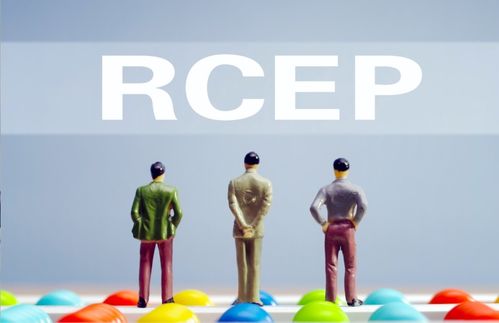 五大舉措助力企業(yè)搭乘RCEP快車(chē) 商務(wù)部強(qiáng)化信息咨詢服務(wù)