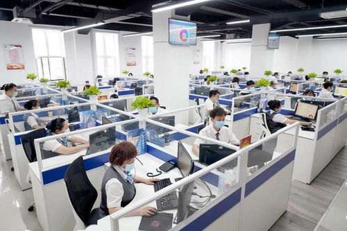 西城區(qū)開(kāi)展“我為群眾辦實(shí)事”咨詢電話政務(wù)服務(wù)體驗(yàn)員活動(dòng)，提升信息咨詢服務(wù)效能